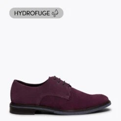 HARVARD - Chaussure Pour Homme VIN Hydrofuge