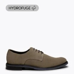 HARVARD - Chaussure Pour Homme TAUPE Hydrofuge