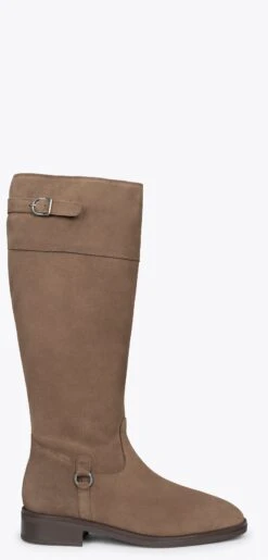 VIRGINIA – Bottes Hautes Pour Femme Avec Boucle TAUPE