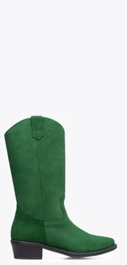TEXANE - Bottes Cowboy Pour Femme VERT